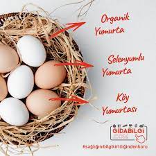 yumurta cesitleri nelerdir yumurta gida beslenme