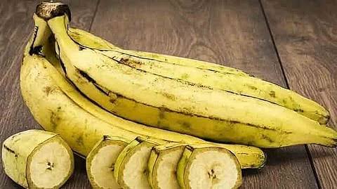 Onam Nendram வாழை விலை பறக்கு: ஓணம் பண்டிகையால் கேரளாவில் நேந்திரம் வாழைக்கு வரலாறு காணாத உயர்வு. Historic spike in Kerala as festival demand soars