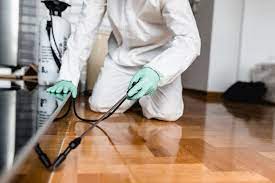 Therefore, it's best to speak with the best pest control specialists near you to determine the safest way to get rid of your pest problem and reduce the risk of exposure. Pest Control Services Near Me Mymove