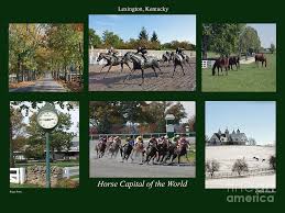 Mount up and gallop to ocala. Horse Capital Of The World Photograph By Roger Potts