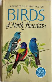 Bird Identification Birds Of New York Field Guide Birds Of North America 1966 Illustrated Field Guide Golden Etsy Field Guide North America Bird Book