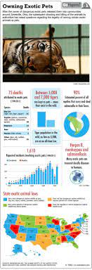 Pin On Infographics