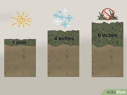 You can put down mulch without weed barrier cloth, but using it with mulch does that by blocking light. How To Apply Mulch 14 Steps With Pictures Wikihow