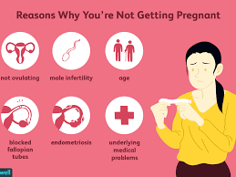 Diğer memurların eşleriyle yüz yüze bakarak bir gece daha geçirebilir miyim bilmiyorum. Why Am I Not Getting Pregnant 8 Possible Reasons
