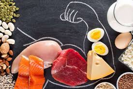 Image result for Protein