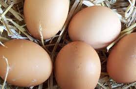 Selling backyard chicken eggs is a popular way to subsidize a productive flock. Selling Eggs In The Uk What You Need To Know Keeping Chickens Uk
