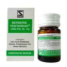 Schwabe Berberis Pentarkan Tablets For Uric Acid Diathesis Gout Homeopathy Remedies Online