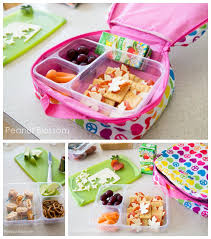 Zodaca women insulated lunch bag cooler picnic travel food box tote organizer zipper carry bags (size: Kids School Lunch Ideas Your Kids Will Love 30 Days With No Repeats