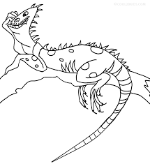 Check spelling or type a new query. Printable Iguana Coloring Pages For Kids