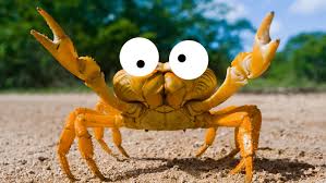 Cancerians channel similar energies to the other water elements, scorpio and pisces, as well as unique emotional frequencies which many people with cancer sun or moon signs may recognize. Ultimate Cancer Zodiac Quiz Star Signs On Beano Com