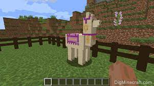 Horses can jump much higher and farther than your character. How To Put Carpet On A Llama In Minecraft