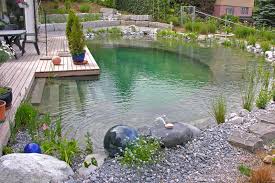 Klassik Schwimmteich Kategorie 2 Egli Jona Ag Schwimmteich Naturschwimmbecken Schwimmbad Landschaftsbau