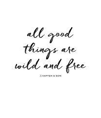 All Good Things Are Wild And Free Quote Kurze Sprueche Tattoo Sprueche Lebensmotto Freiheit Zitate