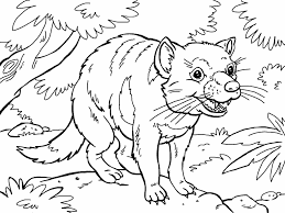 Tasmanian devil coloring page from tasmanian devil category. Tasmanian Devil Coloring Page Coloring Pages 4 U