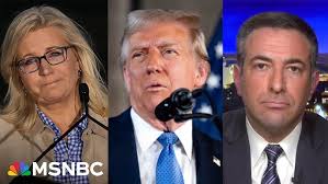 Arianna Berg MSNBC TV News 10 26 2018 11th Hour with Brian Williams