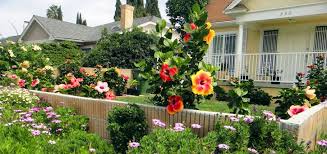 Pin On Garden
