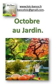 Paysagiste Bayonne Octobre Au Jardin Paysagiste Pays Basque Paysagiste Conseil Paysagiste Jardins Pays Basque