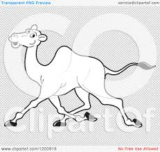Huge collection, amazing choice, 100+ million high quality, affordable rf and rm images. Cartoon Of A Black And White Outlined Running Camel Royalty Free Vector Clipart By Lal Perera 1200918