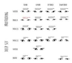 Eye Shapes In 2019 Eye Shape Chart Eye Expressions Shape