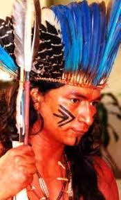 The guarani and a decade of broken promises. Grilledpineapple Valentina Expressions