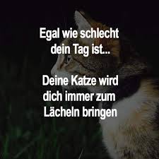 Notitle Spruche Spruch Katze Katzenspruche Spruche Katze