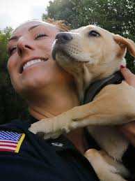 Hodgson introduces Bristol County comfort dogs, announces coalition