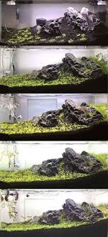 Aquarium pure wooden cabinet size up to order. 900 Freshwater Aquascape Ideas Aquascape Planted Aquarium Fish Tank
