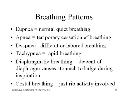 One way in which breathing is controlled is through feedback by chemoreceptors. Temporary Cessation Of Breathing Is Called