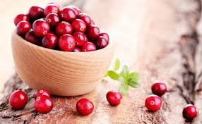 One of the main advantages of birds eating cranberries are the antioxidants in the berries. Weight Loss Can Dried Cranberries Help You Lose Weight Nutritionist Explains