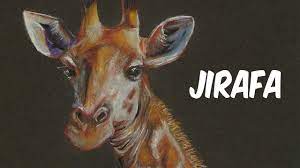Dibujo Una Jirafa Drawing A Giraffe Youtube Ademas, los cuernos de una pequena jirafa aun no estan completamente formados. dibujo una jirafa drawing a giraffe