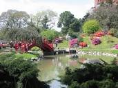 Japanese Garden of Buenos Aires | My Buenos Aires Travel Guide