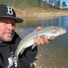 Castaic Lake Marina & Boat Rentals