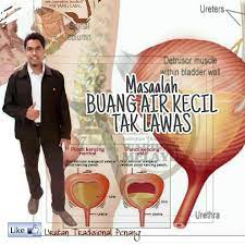 Punca kencing tak lawas #4: Petua Hilangkan Kencing Tak Urutan Tradisional Penang Facebook