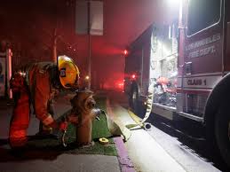 Wildfire smoke threatens lakes, too ...