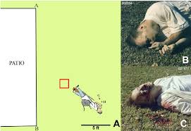 Jurors in a georgia courtroom have been shown graphic crime scene photos of the gunshot wounds that killed ahmaud arbery. The Bloodstains In The Grass A The Crime Scene Drawn To Scale Using Download Scientific Diagram