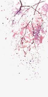الصور الخلفيات in 2020 flower illustration watercolor flowers watercolor background