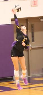 3 area teams set for volleyball regionals today