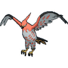 Pokemon Sword And Shield Talonflame Locations Moves Weaknesses Talonflame is a fire & flying pokémon which evolves from fletchinder. pokemon sword and shield talonflame