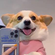 Image result for tbn:PynVVpwlqUveEM::www.imagefreehost.com/files/05012008/qc1400819220.gif