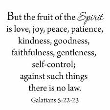 Vwaq But The Fruit Of The Spirit Galatians 5 22 23 Bible Wall Decal Wayfair In 2020 Spirit Quotes Bible Wall Decals Spirit Of Truth