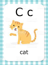 Letter C Vocabulary Flash Cards Flashcards Letter Flashcards