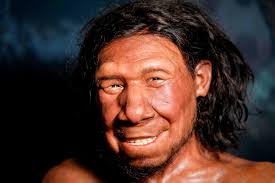 Geny odziedziczone po neandertalczykach są związane z większym ryzykiem  spektrum autyzmu?