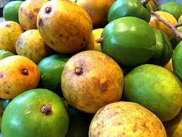 Locals eagerly await mango season when those without a tree will likely harass their neighbors and friends for fruit. Tropical Taste Of Hawaii The Wondrous Wi Apple Dengarden