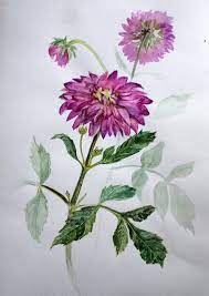 Original Dahlia Flower Watercolor Painting Floral Watercolor Etsy Watercolor Flowers Paintings Floral Watercolor Paintings Watercolor Flowers