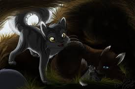 The great collection of warrior cats backgrounds for desktop, laptop and mobiles. Warrior Cats Falconflight Novocom Top