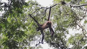 Papaya tours ist seit über 15 jahren ihr spezialist für erlebnisreiche rundreisen in südamerika, mittelamerika und asien. 7 Tipps Fur Spektakulare Guatemala Sehenswurdigkeiten