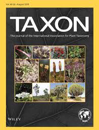 Image result for Exochaenium debile