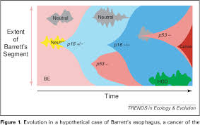 The alternate color is listed below the chart. Figure 1 From Evolutionary Biology Of Cancer Semantic Scholar