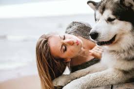 Are Huskies Good With Babies Here S The Fact You Should Know