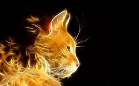 Pin On Photoshop Inspiratie